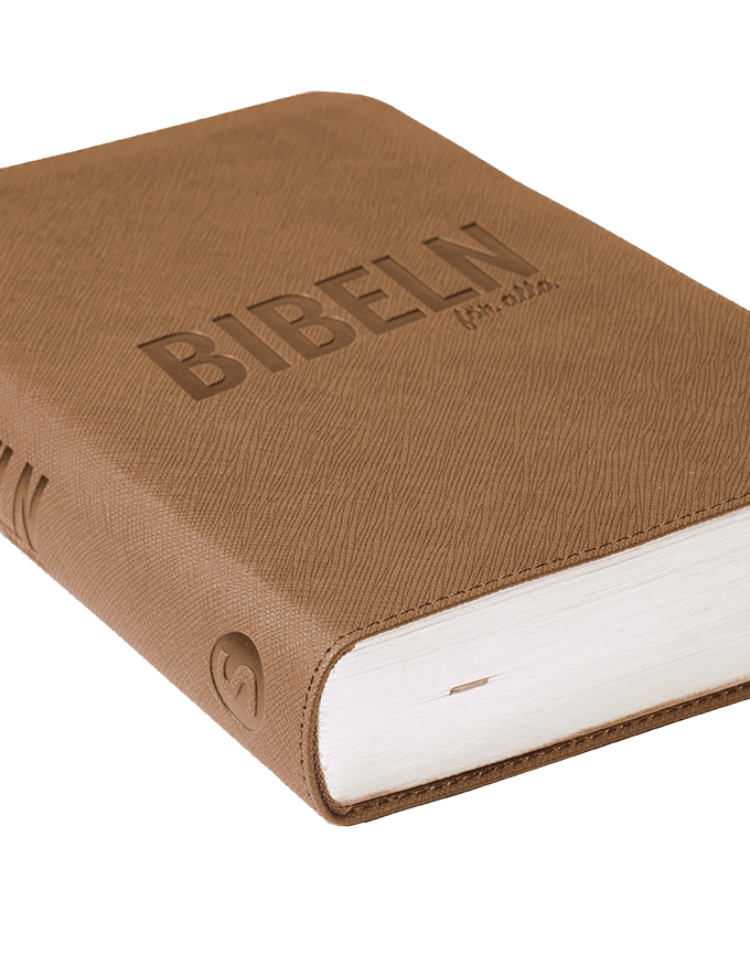 Bibeln för alla, ljusbrun