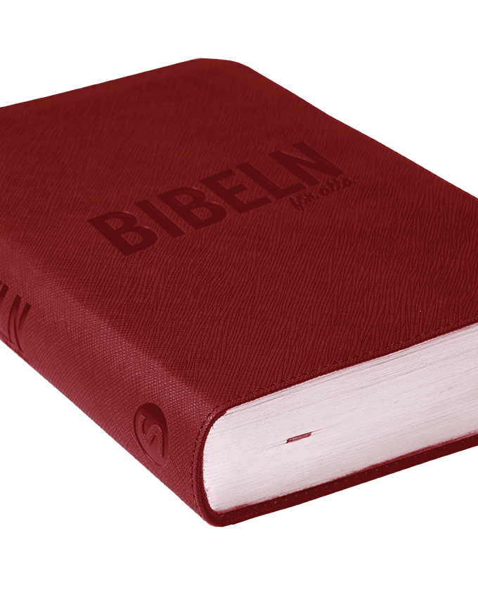 Bibeln för alla, mörkröd