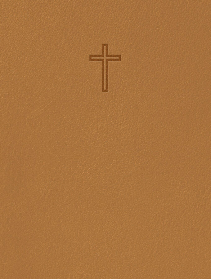 Svenska Folkbibeln 2015: Slimline Bärnsten Konstskinn